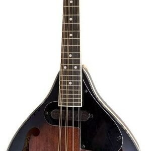 Ozark 2077 Electric Mandolin A Model & Bag