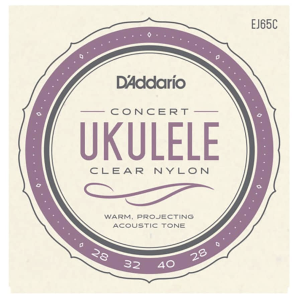 D'Addario Concert Ukulele Set